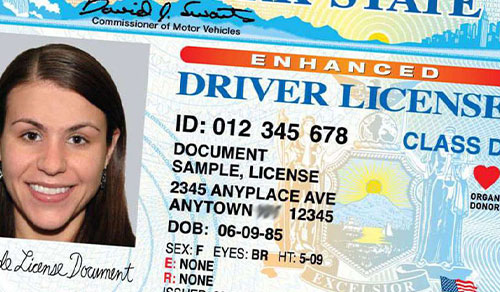 How to replace a lost or stolen driver's license?